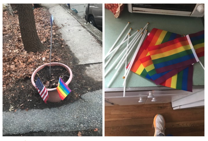 rainbow flags