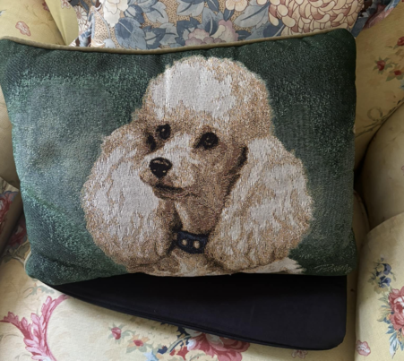 poodle pillow